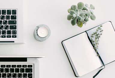 WG 金钱兔 2 休闲益智游戏：爆率全开福利不停歇